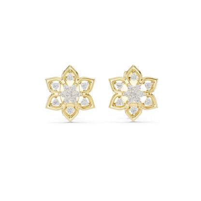 Mixed Shape Lab Grown Diamond Stud Earrings